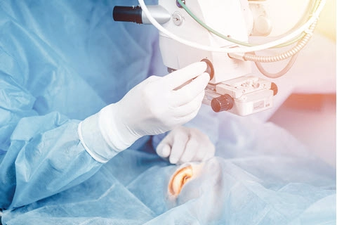 4 Tips Help You Understand the Global Surgical Package Rules : Surgical  Coding